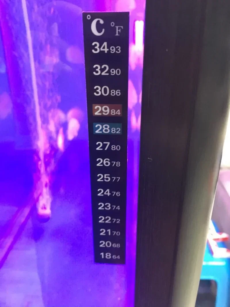 5 sztuk/10 sztuk akwarium pasek do akwarium przyklejany termometr do przebarwień naklejka samoprzylepna lepka naklejka z podwójną skalą narzędzia do