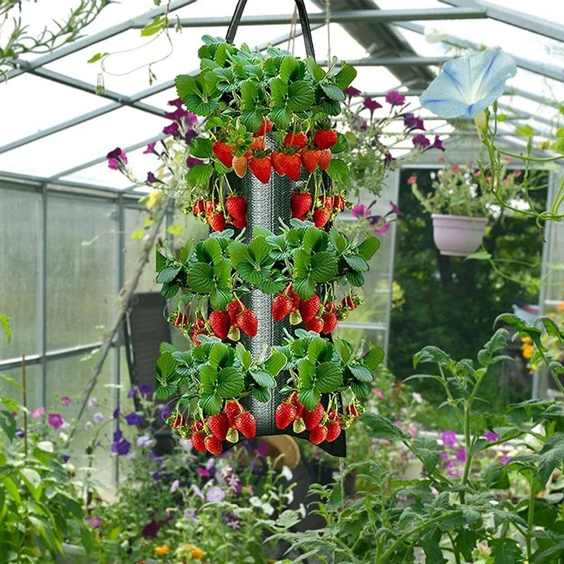 

10Hole Grow Bag Strawberry Potatoes Tomatoes Planting Bag Home Garden Seeding Bag Flower Plant Holder Garden Accessories Plants
