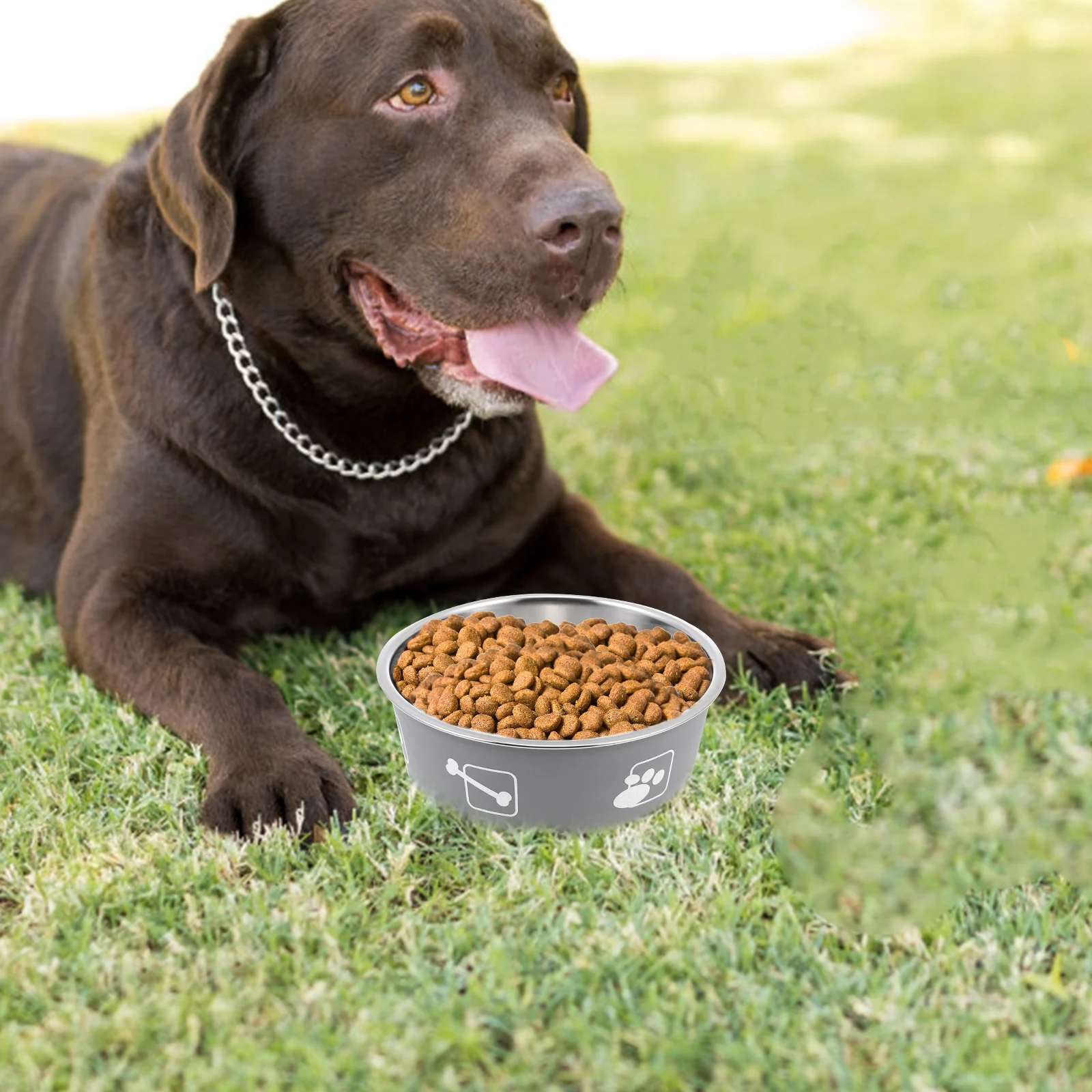 

Stainless Steel Pet Bowl Dog Food Feeder Water Dish Cat Silicone Base Anti Slip Large Capacity Easy Clean Home Use Pet Supplies