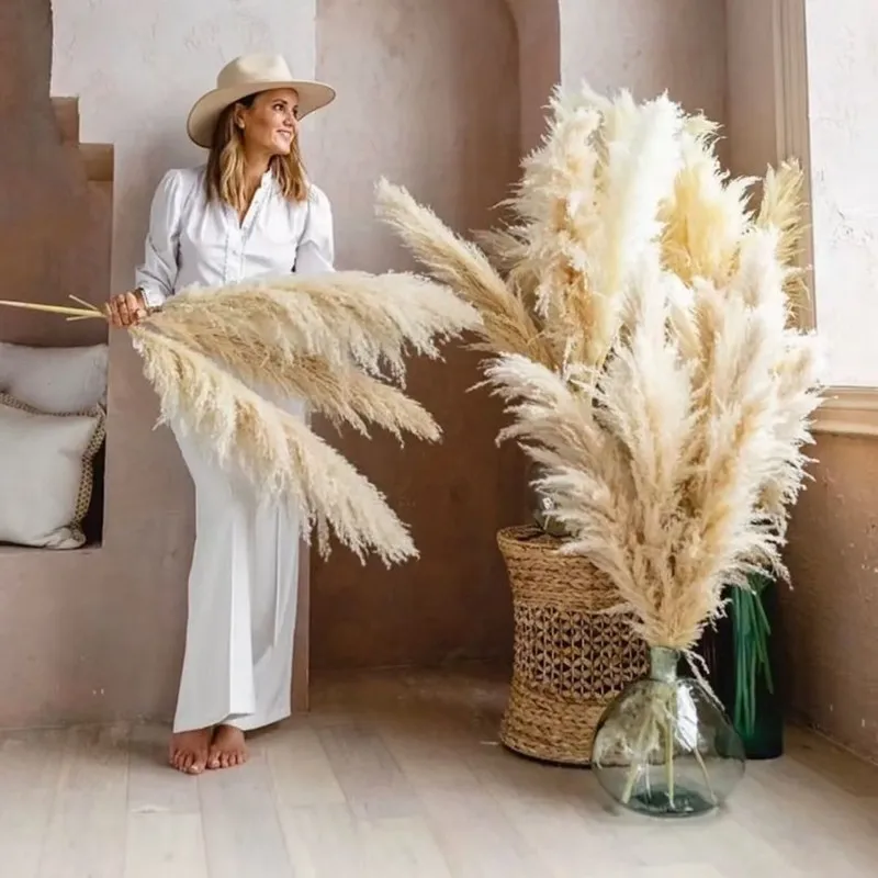 Wholesale Boho Wedding Decor 80cm Large Plume Dry Fluffy Pampas Grass Natural Real Preserved Flower Fleur Sechees Mariage