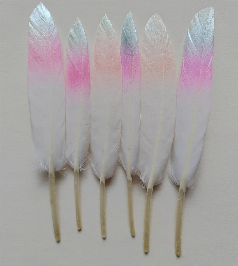 20 قطعة 10-15 سنتيمتر ريش أوزة مطلي ، ريش بطة بلونين ، زينة الزفاف ، بلوماس ، 5 ألوان متاحة