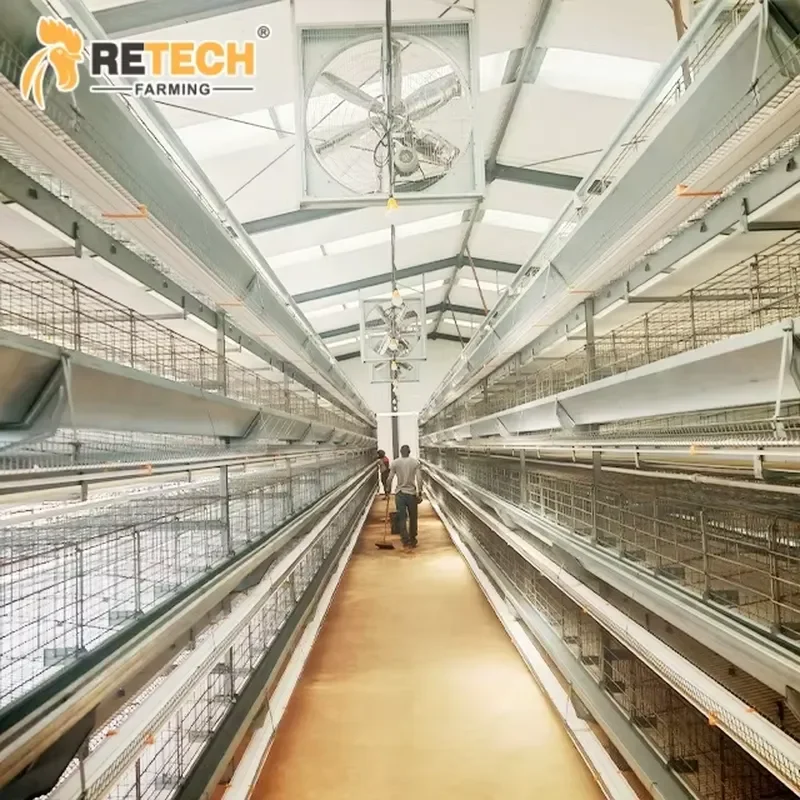 CE-certified automated chicken poultry farming equipment layer battery cage system for 60000 birds for Chinese factory