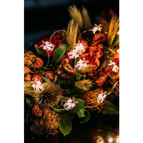 Rigging House Gift Box Battery Powered and Usb'li Multi-Purpose LED Decorative Lighting 240CM