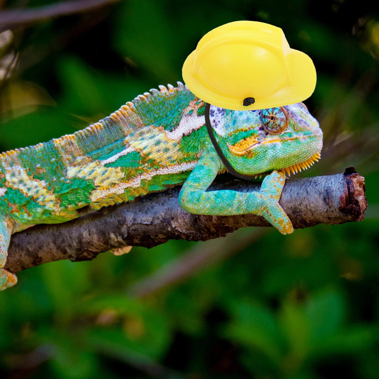 

Miniature Plastic Chameleon Durable Lightweight Safety Hat Small Reptile Headwear Decoration Miniature