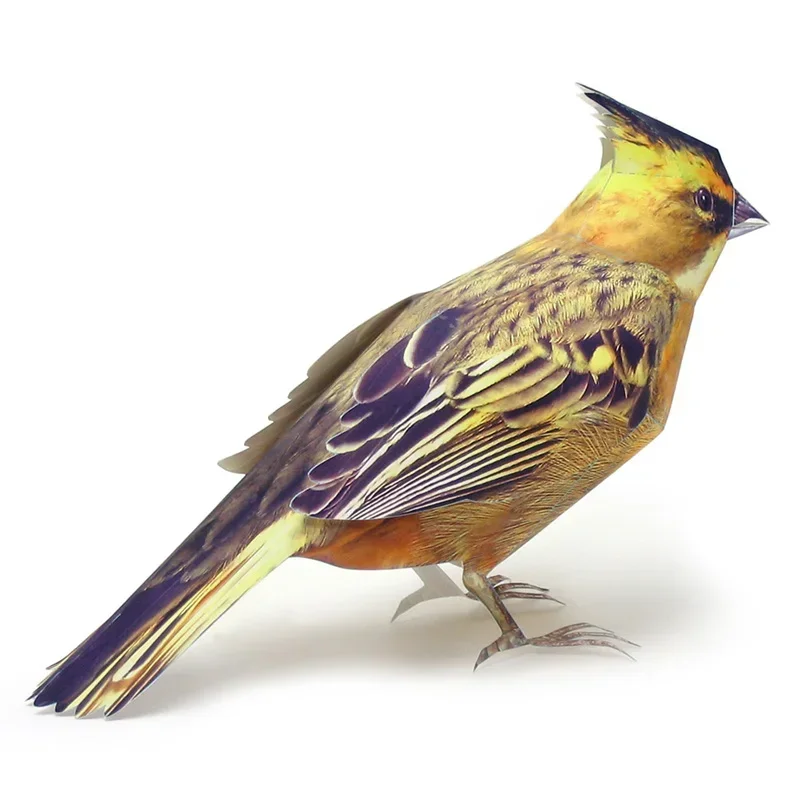 Yellow-throated bunting bird Origami Art Mini Cute 3D Paper Model Papercraft Realistic Animal DIY Kids Adult Craft Toys WE-002