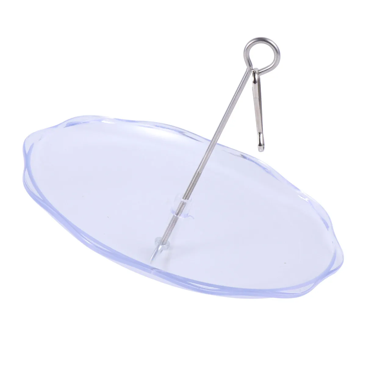 Stainless Steel Bird Fruit Fork with Parrot Feeding Plate & Plastic Base – Easy-Clean Cockatiel Lovebird Fruit Tray
