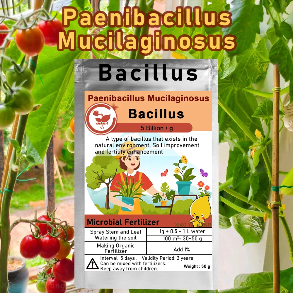 Fertilizante microbiano orgánico para fertilidad del suelo, promoción del crecimiento de plantas, doloríacilinosus, bacilus, 50g
