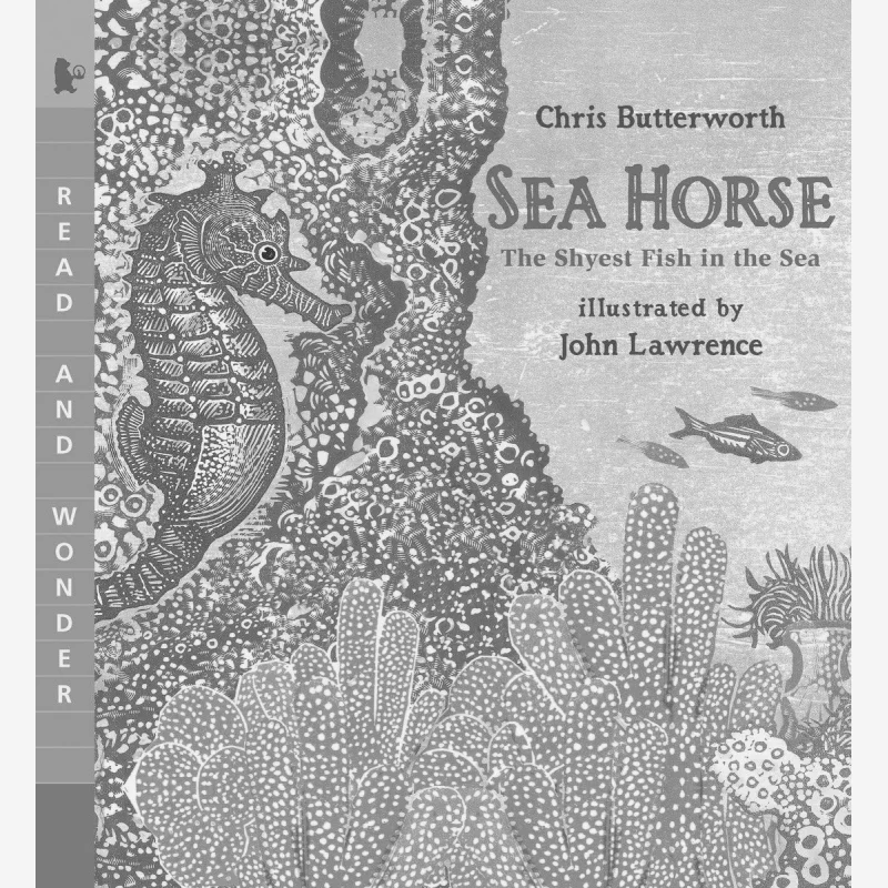 Sea HorseThe Shyest Fish In The Sea Chris Butterworth Candlewick Press 9780763641405 Book