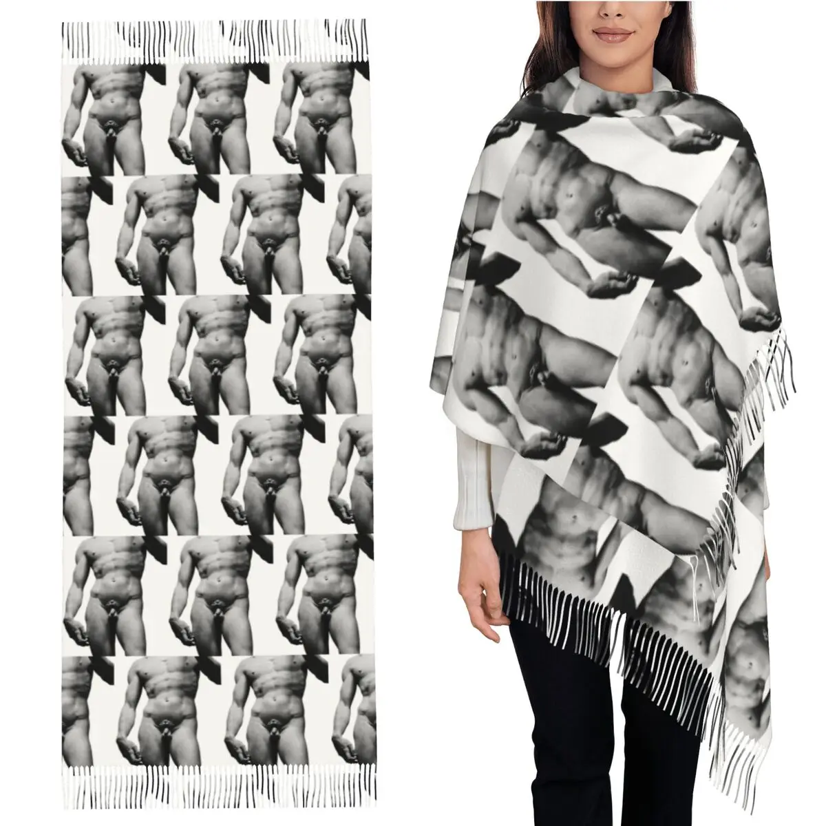 

David Sculpture Scarf Tassel Scarves for Women Soft Warm Shawls and Wraps Long Fall Winter Shawl Wrap