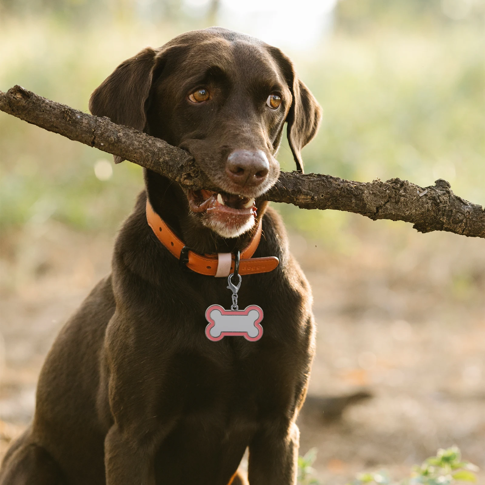 

2Pcs Pet ID Tags Stainless Steel Dog Tag Blanks Heat Transfer Sublimation Customizable Durable Scratch Resistant DIY Cat Dog