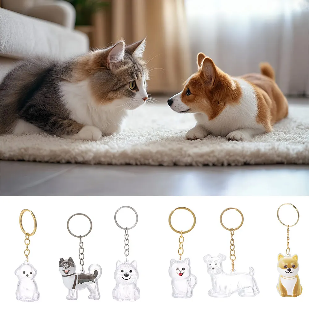 Transparent Dog Hair Collection Pendant Portable Bichon Husky Corgi Dog Hair Storage Box Gifts Pet Fun Keychain