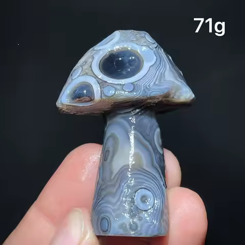 Natural Agate mushroom Alxa Gobi Eye Mineral Specimen Energy Crystal Chakra Reiki Healing Stone Garden Decor