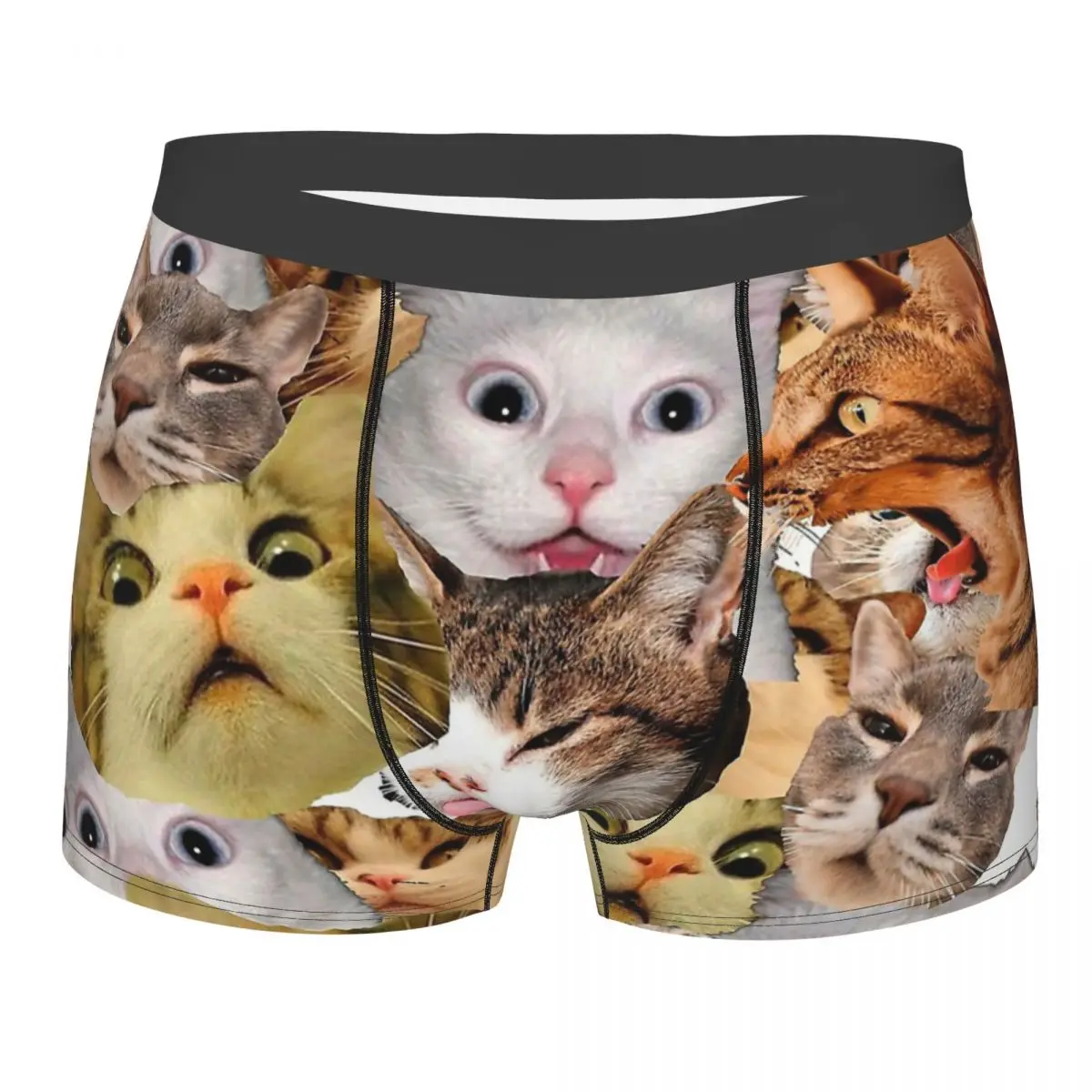 Meme Cat Cute Kawaii Animal Aniamls Underpants Homme Panties Man Underwear Ventilate Shorts Boxer Briefs