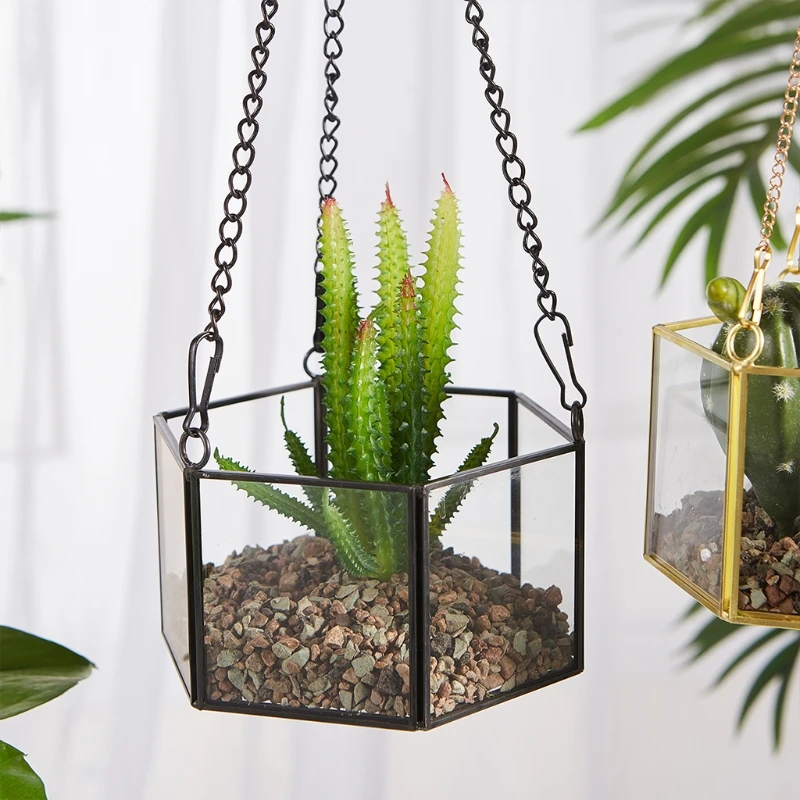 Hiện Đại Kính Terrarium Hình Học Hình Lục Giác Mọng Nước Không Vật Có Giá Đỡ Hộp Đựng Tường Dụng Cụ Bào Hoa Trang Sức Giọt