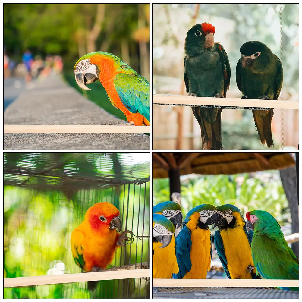 

4 Pcs Bird Platform Accessories Perches Parakeets Cage Pole Automatic Stick Wooden Standing Sticks