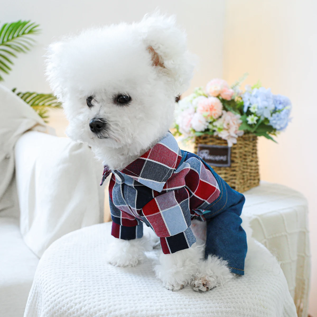 1PC Pet Clothing Spring and Autumn Handsome Cowboy Knight Four Legged Strap Pants Suitable for Small and Medium sized Dogs