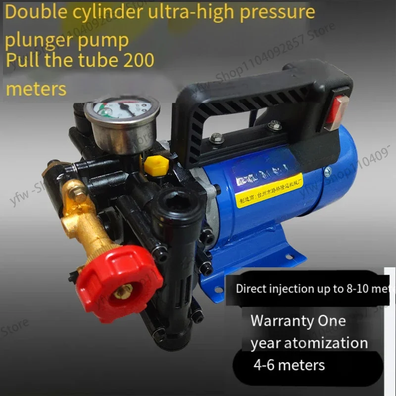 Agricultural Electric High Pressure Pump Spraying Watering Car Wash Irrigation Double Cylinder Piston 12V/24V/48V/60V/220V