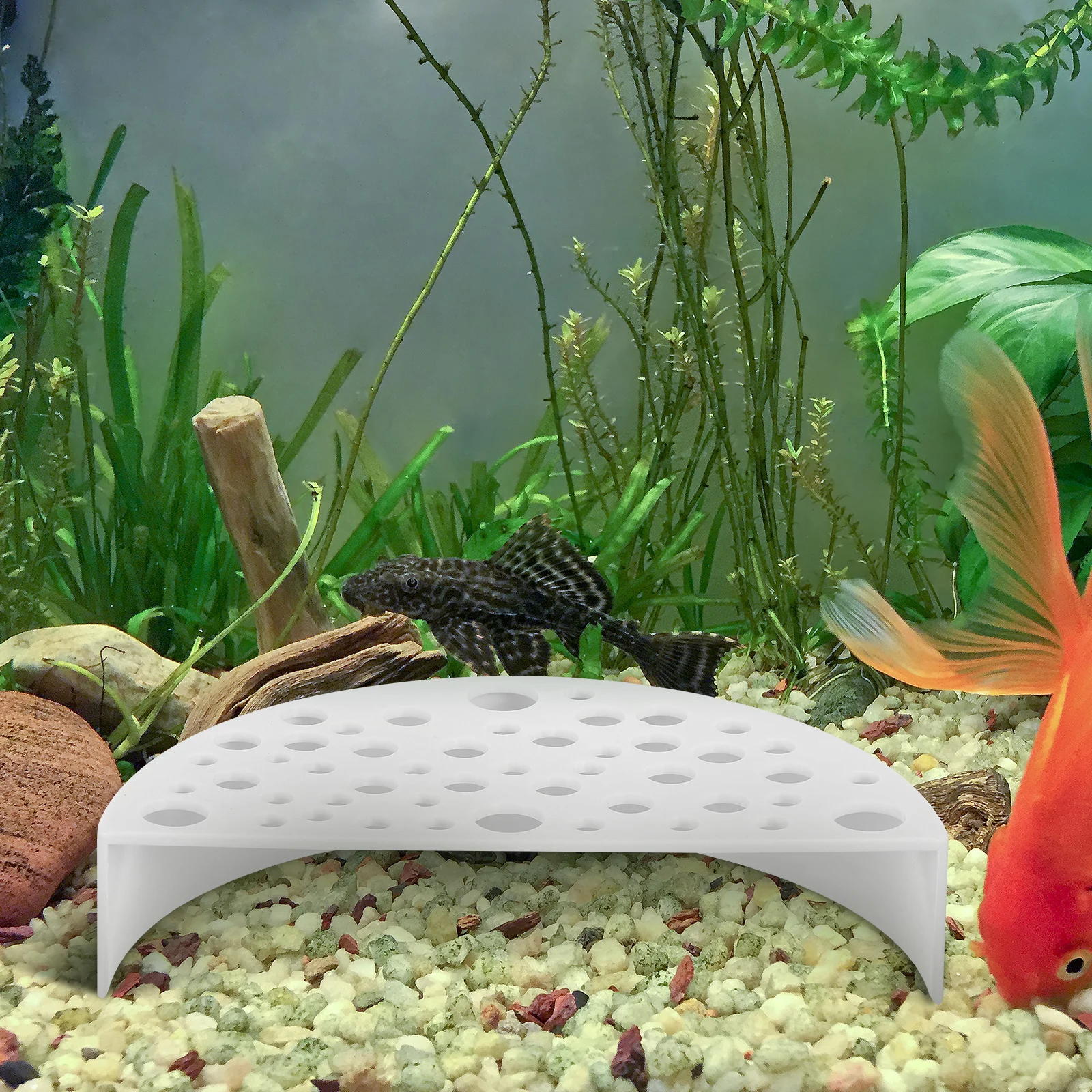 

2Pcs Shrimp Breeding Hideout Protector Aquarium Shelter Easy Clean Comfortable Habitat Fish Resting Spot Ornament