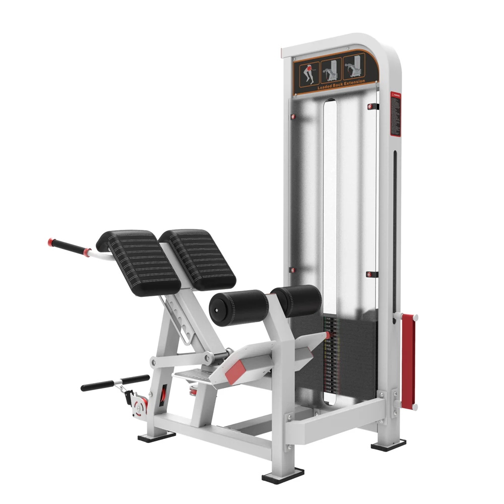 Pin Loaded Selectorized Back Extension Machine Home Gym Abdominal & Back Trainer 2025