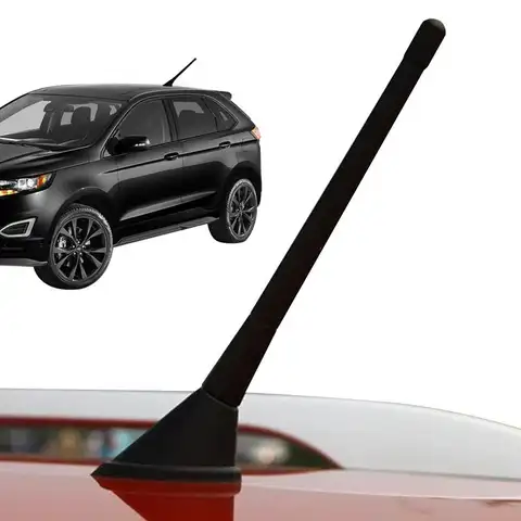 Antena amplificada de señal negra de Radio recta en espiral para techo de coche, piezas exteriores SUV, suministros para automóviles