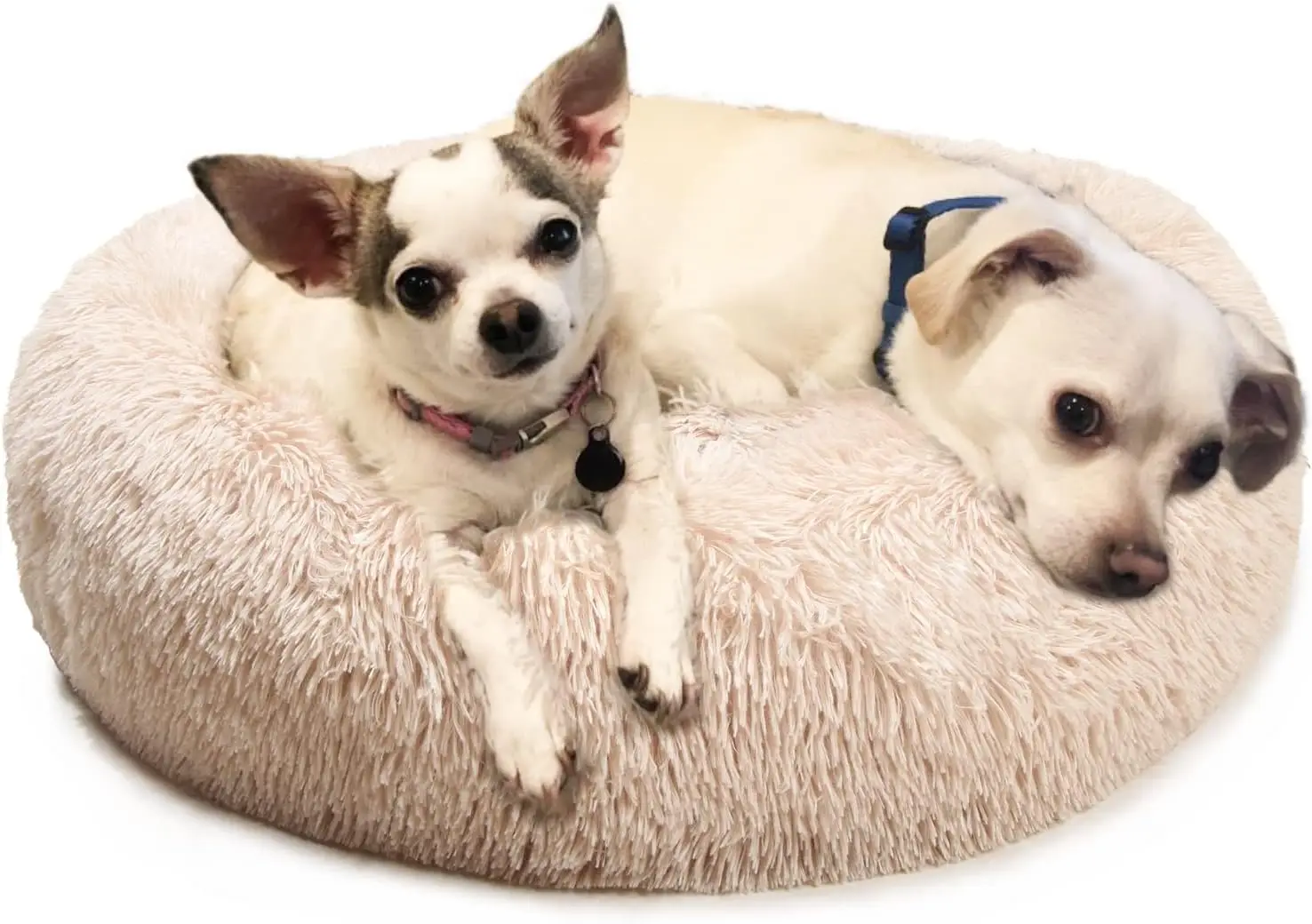 

Doggy Beds For Medium Dogs Washable Medium Sized Dog Bed Beige 30 Hes Round Dog Beds For Medium Dogs And Cats With Fluffy Self