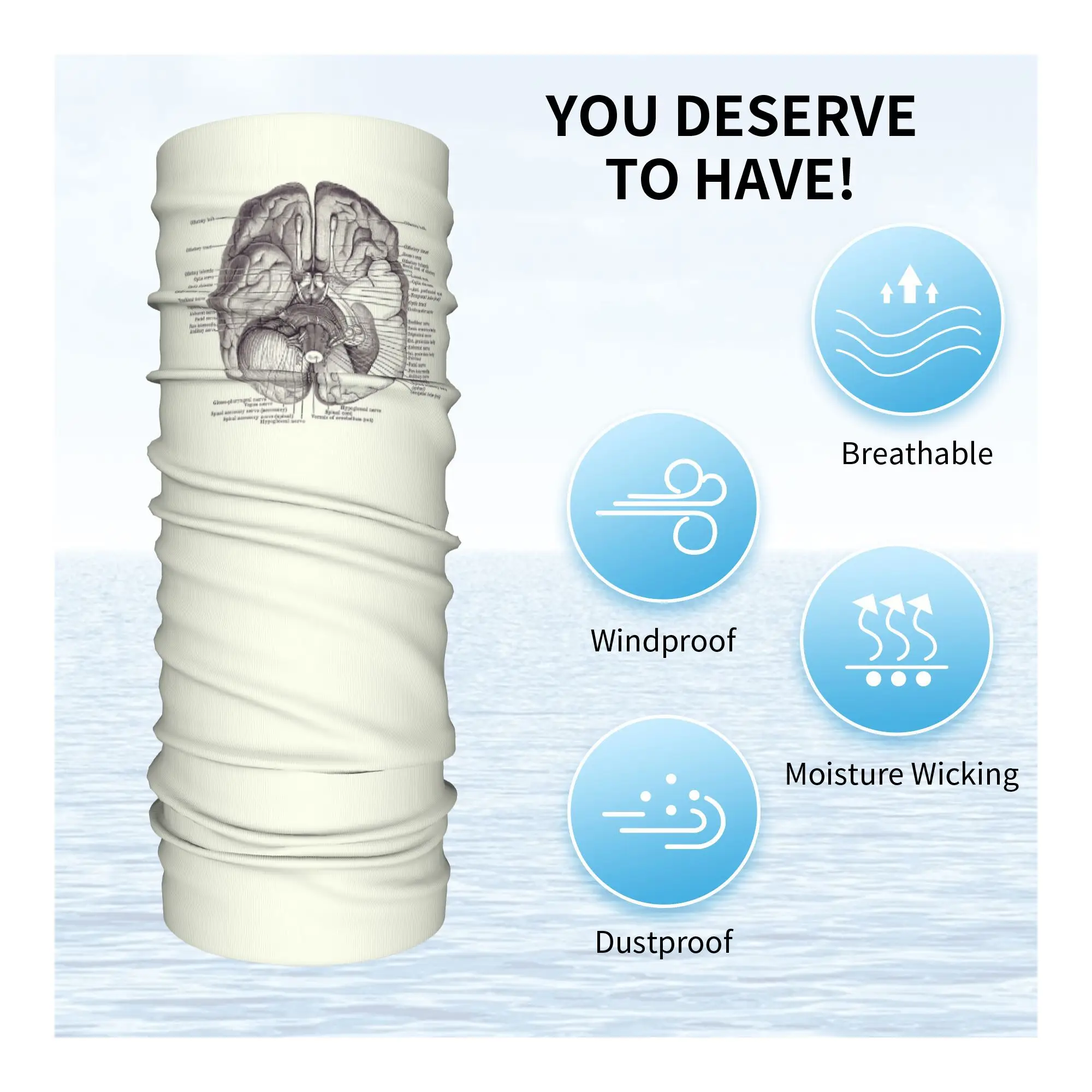 مخطط الجهاز العصبي للدماغ - وشاح ملفوف مطبوع عليه تشريح عتيق للرقبة بالاكلافا الدافئة لركوب الدراجات