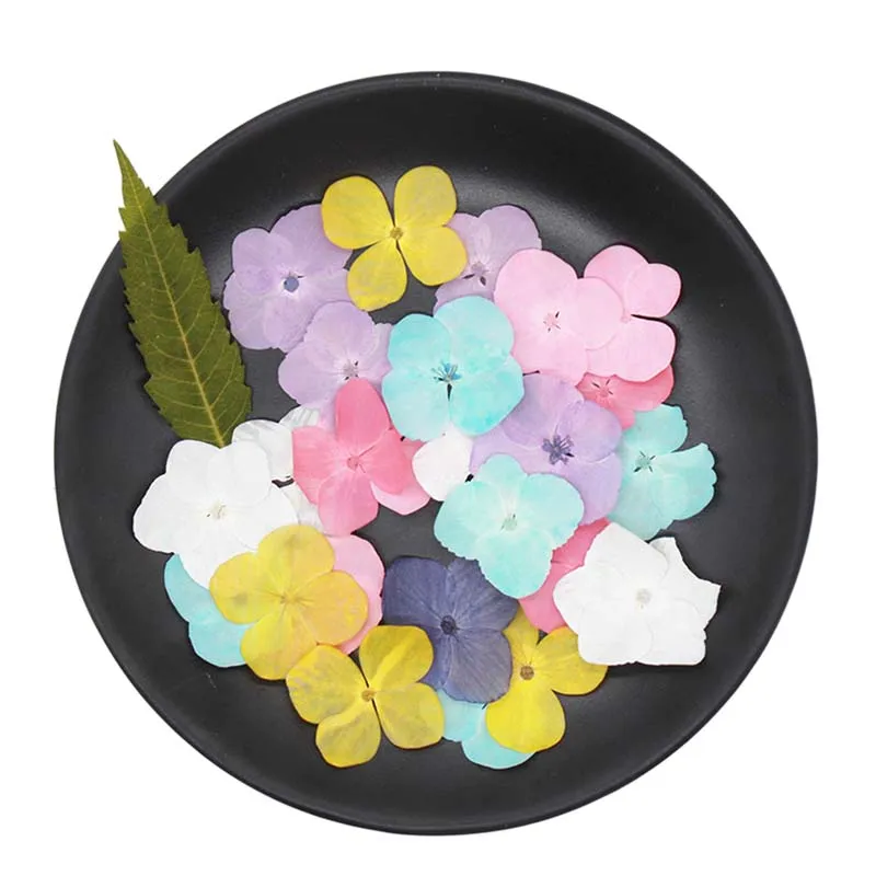 12PCS,24PCS/2~3.5CM Natural Dried Pressed Flowers Petals Hydranges,Dry Hydrangea Press For Craft Resin Jewellery,Candles,