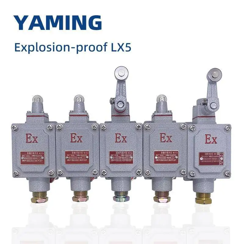 مفتاح الحد IIBT6 المقاوم للانفجار ، المعدات الكهربائية الدوارة ، 1NO 1NC ، 220 V ، 380V ، 5A ، DLXK LX5 سلسلة X D Z L L N