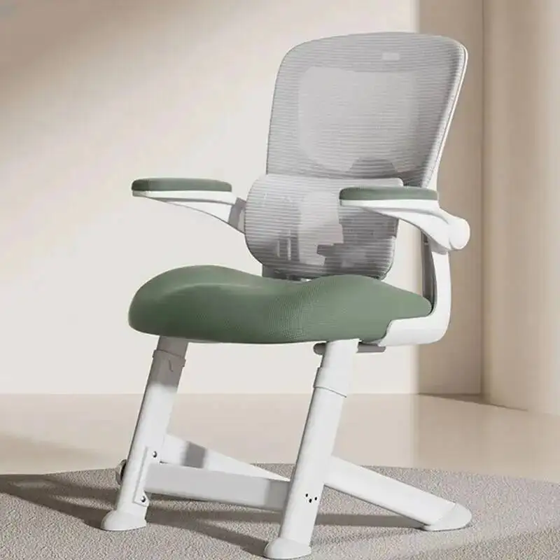 Study Lazy Office Chair Nordic Computer Cute Comfortable Executive Swivel Office Chair Relaxing Silla Oficina Library Furniture