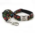 Collar Leash Set