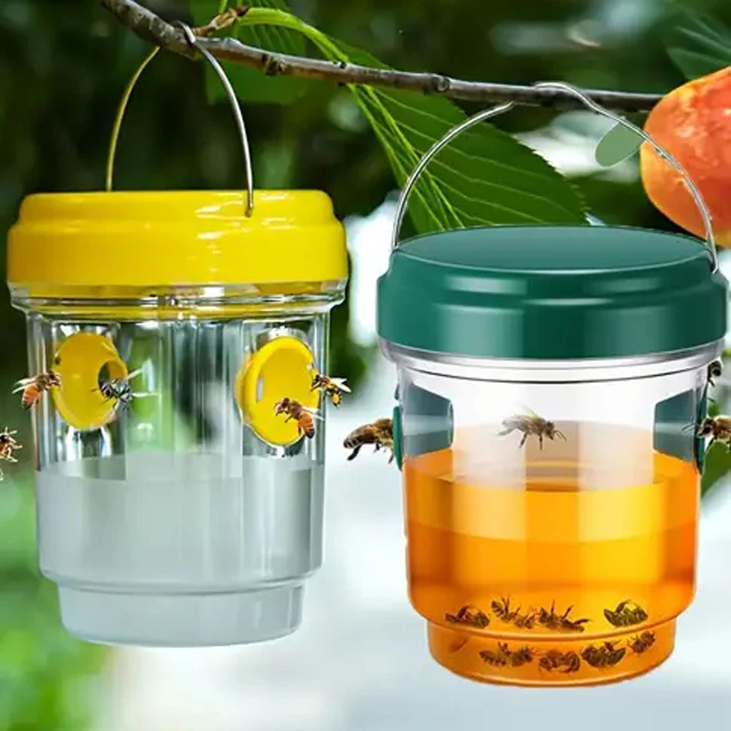 Bee Trap Insect Fru…