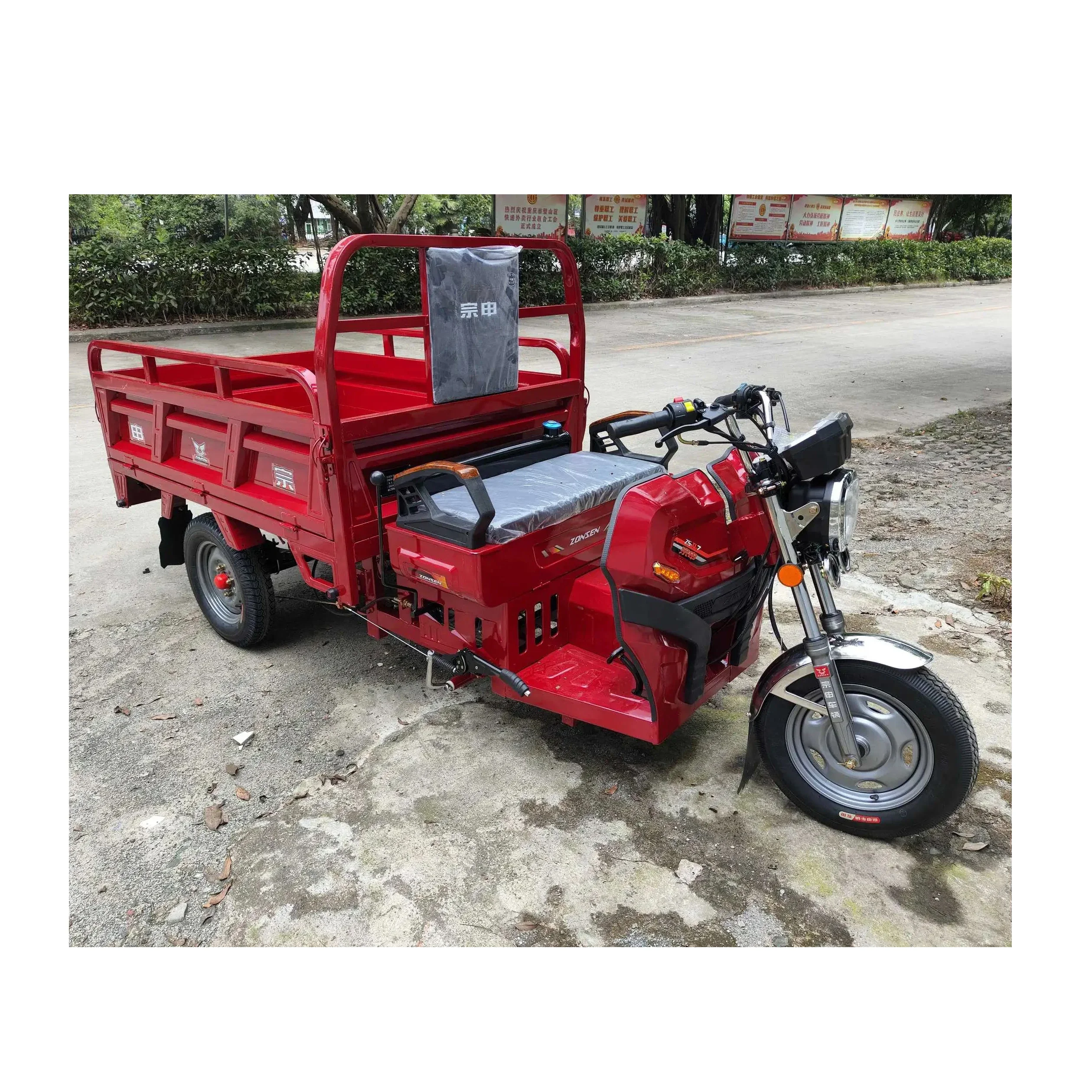 3 Wheel Adult 175cc Moto Cargo Dump Truck Tricycle Price Gas Tricycles