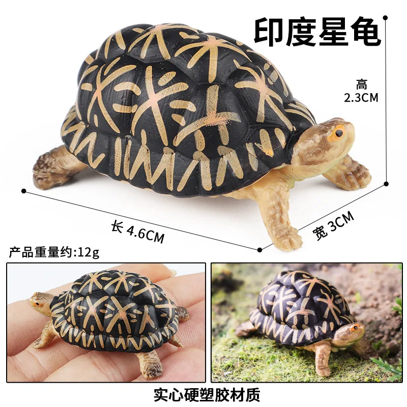 Adornos de anfibios y reptiles simulados, tortuga brasileña, Cocodrilo, Tortuga, juguete modelo de agua