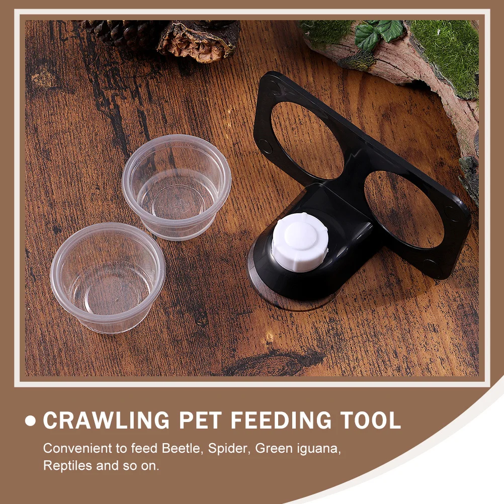 

2pcs Reptile Food Bowl With Suction Cup Stable Lizard Feeder Escape Proof Worm Dish Large Capacity Plastic Feeding Basin For