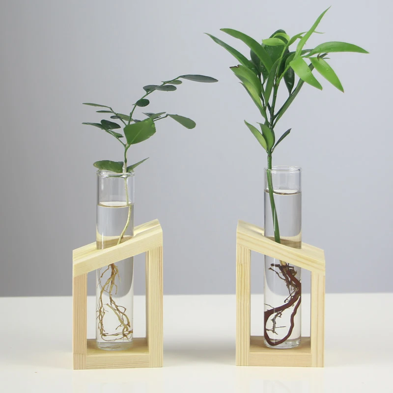 Creative Hydroponic Plant Container Glass Tube Vases With Wooden Stand Terrarium Vasevase Home Desktop Decorations