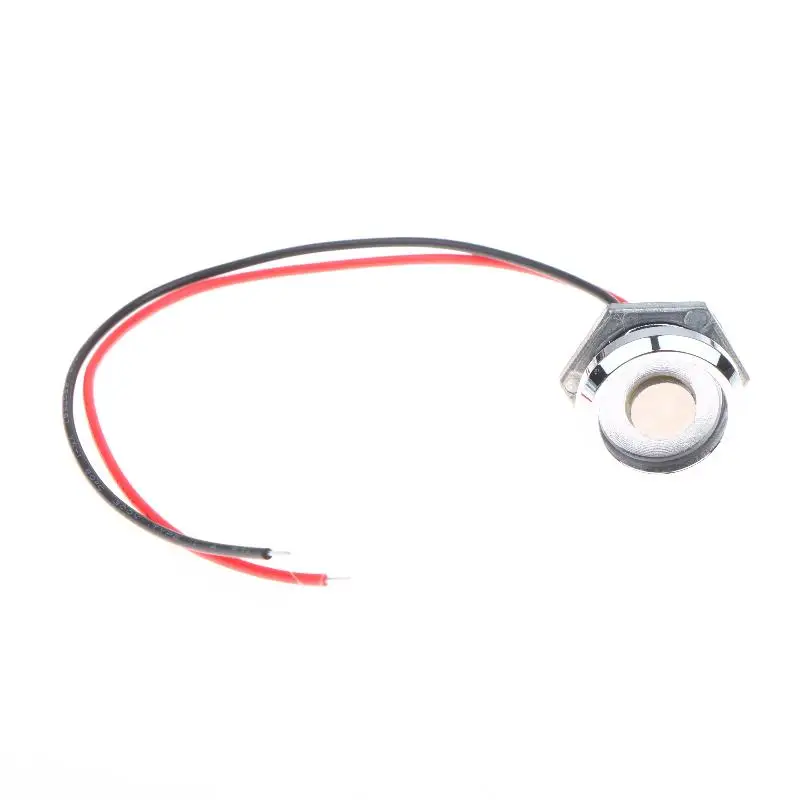 1Pc 2 Pin TM Card Reader Probe TM Probe DS9093 Zinc Alloy Probe IButton Probe/Reader Card Reader IB Card Probe