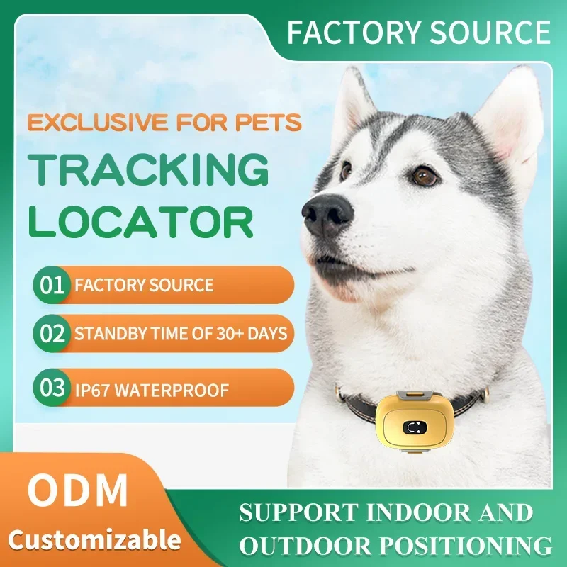 

New Pet Health Monitoring 4g Locator Device Locates Pets and Detects Their Activity Heart Rate Mood