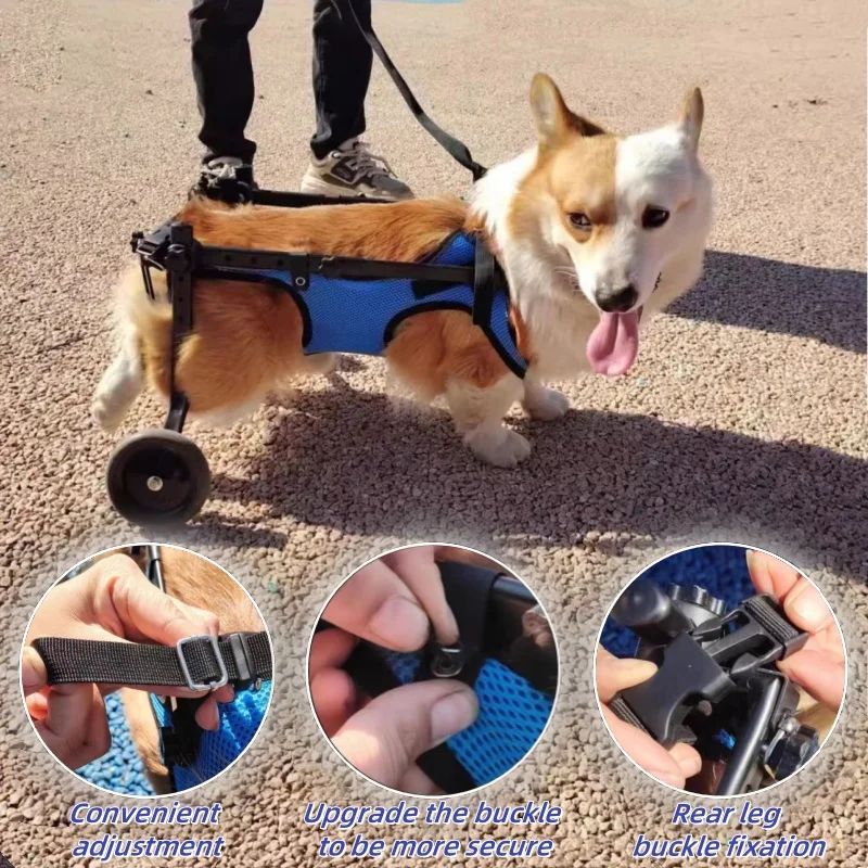 

Pet Trolley Adjustable Hind Leg Disabled Pet Dog Mobility Aid Light Rehabilitation Legs Pet Wheelchair Walk Trolley Tools