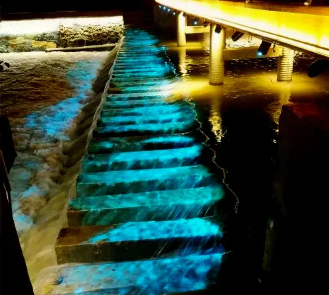 إضاءة المسرح في الهواء الطلق مقاومة للماء LED نمط المياه في الحديقة ضوء الليزر يتساقط عيد الميلاد لهب المحيط ضوء عرض ملون #5