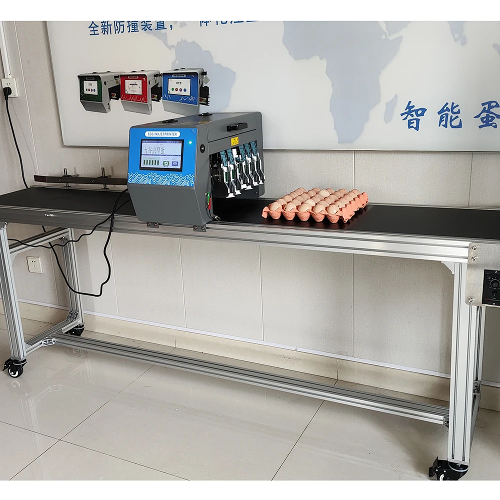 Poultry Egg Inkjet Marking Equipment Easy Operation Egg Shell Inkjet Printer for Egg Factory Packing Production Line