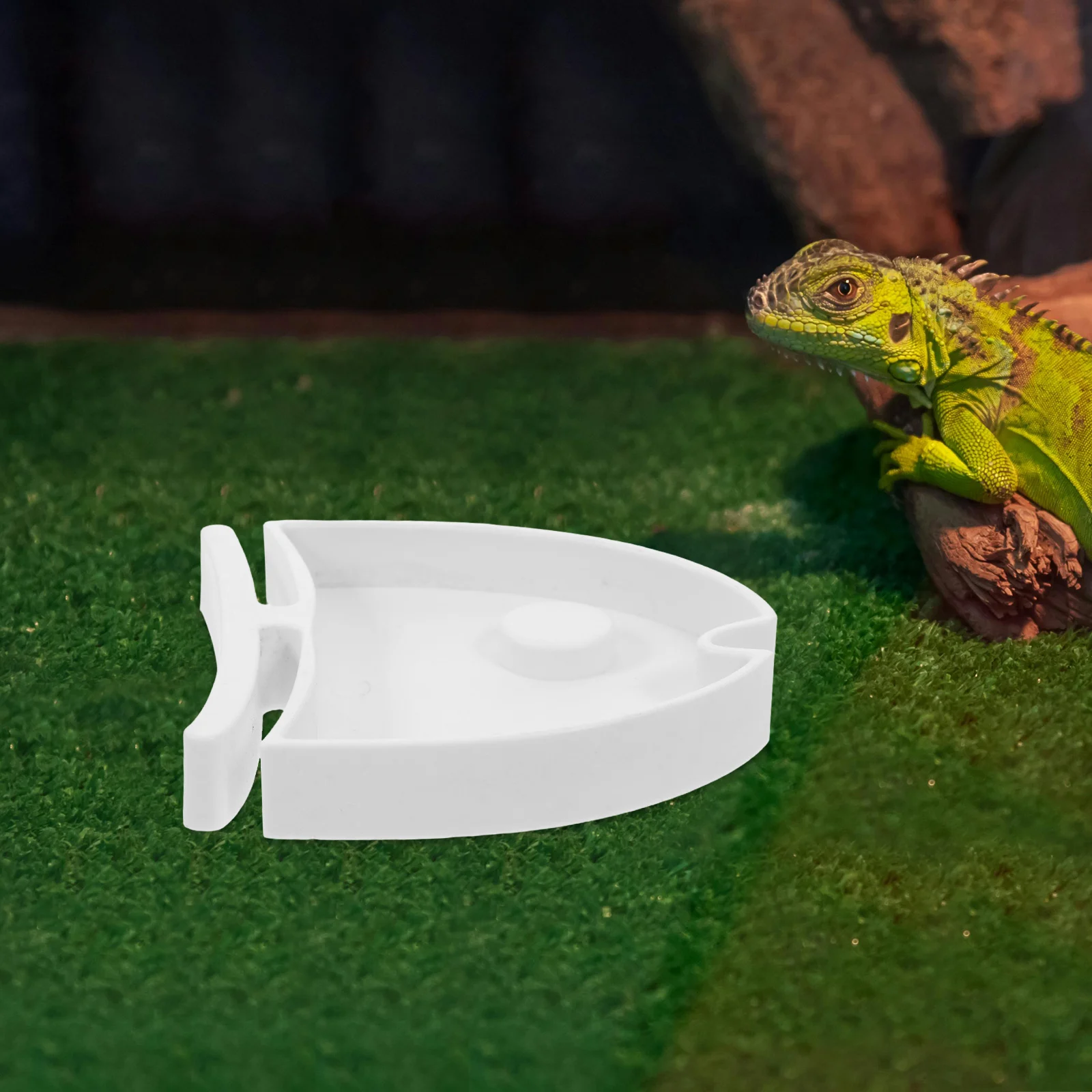 

Multifunctional Reptile Food Bowl Water Dish For Tortoise Gecko Hamster Large Durable Easy Clean Feeding Tray Terrarium Cage