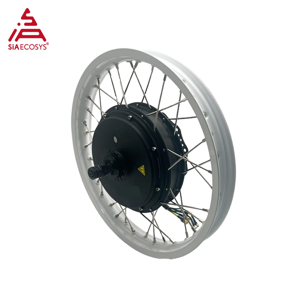 1500W 17x1.6 Inch V3 Spoke Hub Motor Quick Disassembly BLDC QS205 Model from QSMOTOR for Conversion