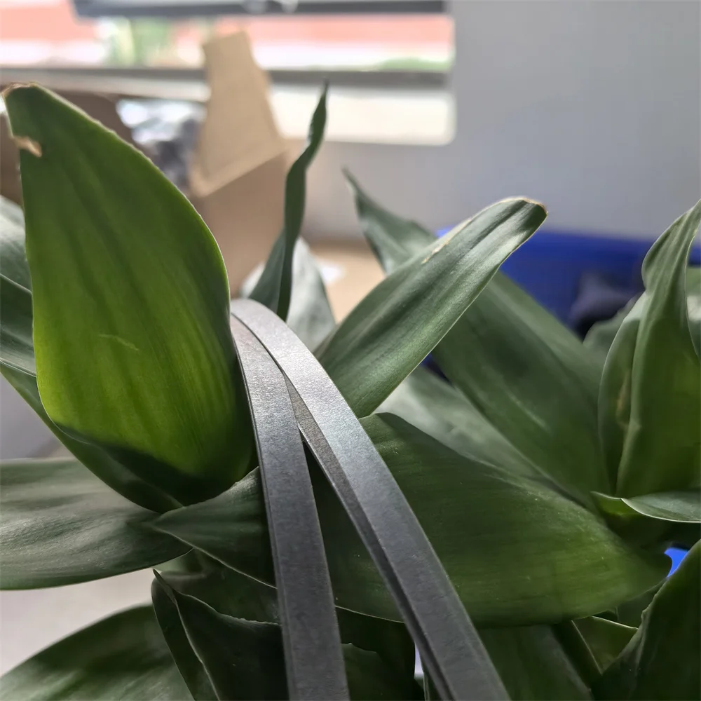 

1PC 1557662 1518851 1443407 SCALE CR Encoder Strip for EPSON 1390 1400 1410 1430 1500 R1800 R1900 R2000 R2400 R2880 WF1100