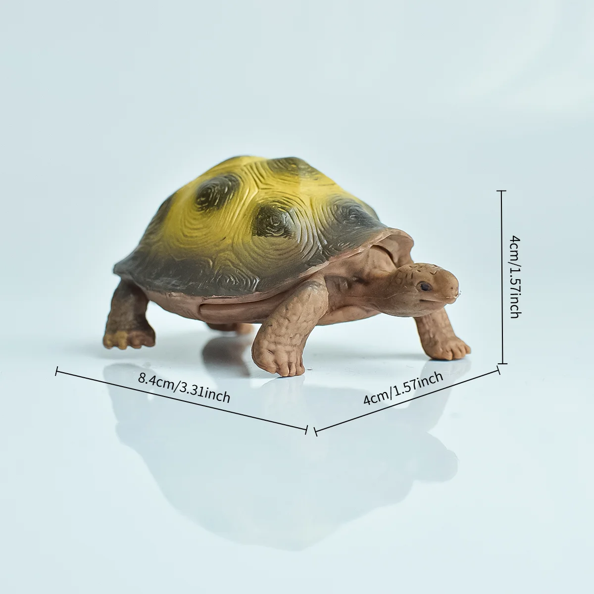 Tortue animale réaliste peinte - Planted Tank avis et prix