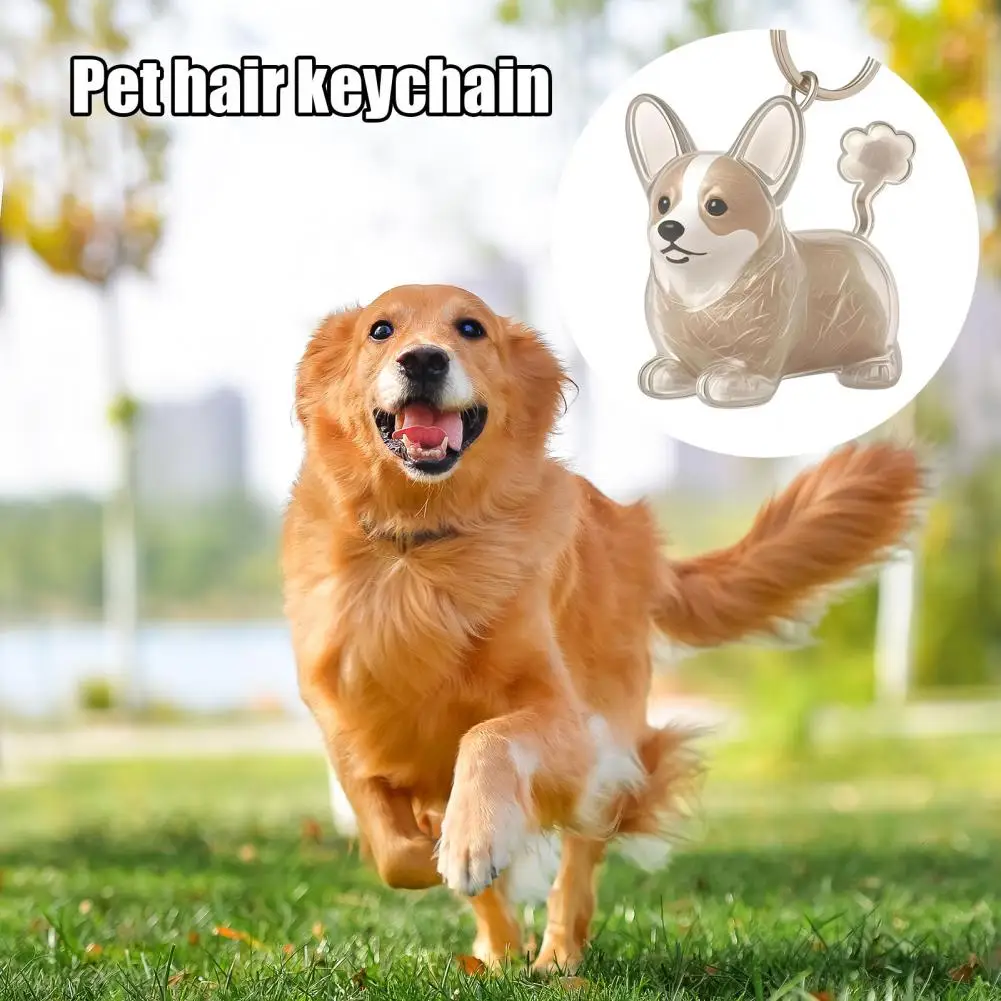 Keychain for Pet Lovers Pet Hair Remover Keychain Reusable Hidden Hair Collector Easy to Clean Cat Dog Fur Removal Accessory