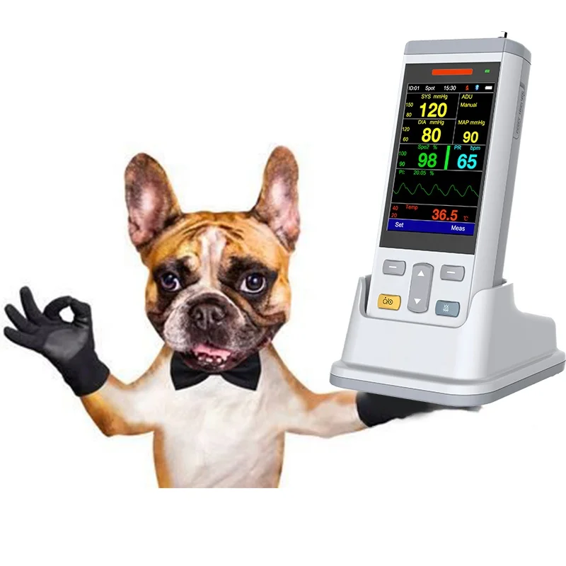 PC100V Veterinary equipment blood pressure monitor animal instrument Multiple parameters saturation Handheld vital sign monitor