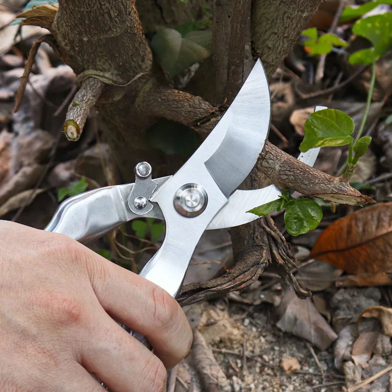 Pruning Shears Metal All-steel Fruit Picking Gardening Rough Branch Shears Multi-functional Labor-saving Rebound Pruning Tool