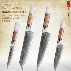 Grandsharp 4Pcs Professional Kitchen Knife Set 67 Layer Damascus Steel 10Cr15C0Mov Chef Santoku Knives Meat Fruit Cutting Tool