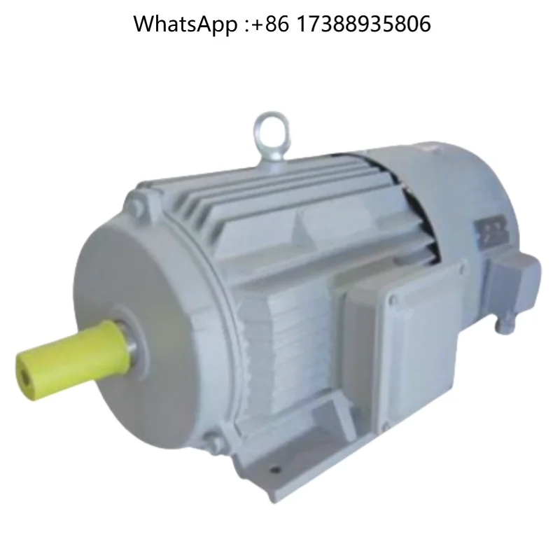 Marine Ultra-high Efficiency Asynchronous Motor Lithium Battery Power Marine Electric Propulsion System High Voltage DC Motor