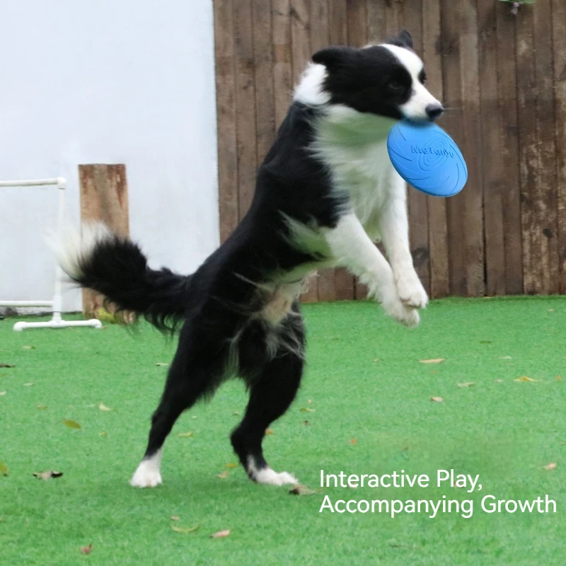 Meianju Dog Flying Disc Bite Resistant Soft Rubber Floating Outdoor Interactive Training Toy For Adult Pet Dogs Border Collie
